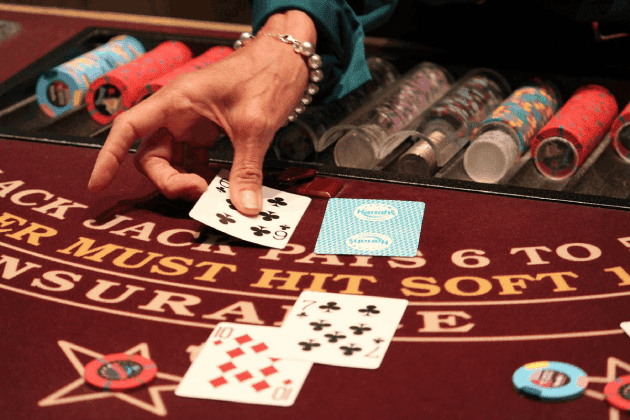 313bet